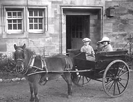 Horse and Cart at Norwood Park