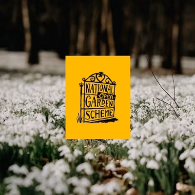 4861ae_1b222843c4c74d94bc766a49999077ca~mv2