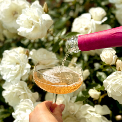 wine tasting at Norwood Park